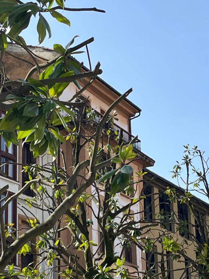 Apartamento Wamba - La Catedral Ов'єдо Екстер'єр фото
